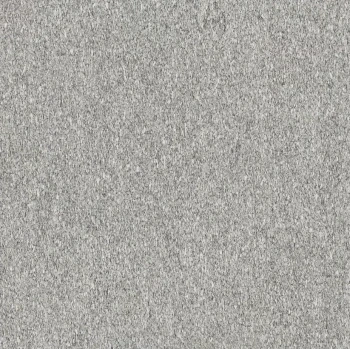 Serizzo stone 120x120 matte 3.png