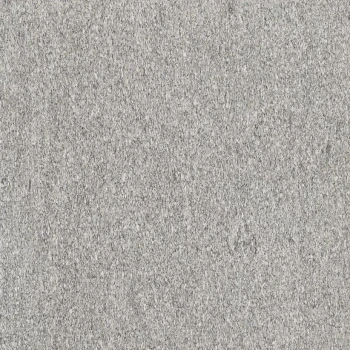 Serizzo stone 120x120 matte.png