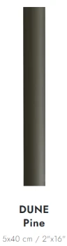 dune pine.png