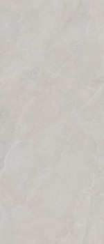 Noble_Stone_Grey_120x280_199082@01_.jpg