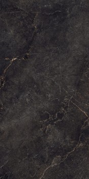 Noble_Stone_Dark_60x120_199004@05.jpg