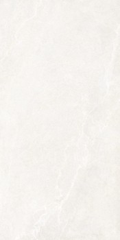 Noble_Stone_White_60x120_199001@01.jpg