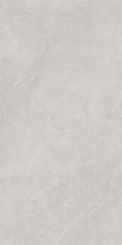Noble_Stone_Grey_60x120_199022@05.jpg