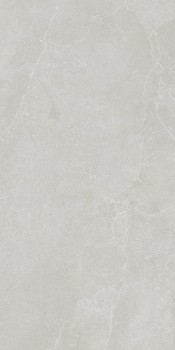 Noble_Stone_Grey_60x120_R11_199012@03_.jpg