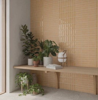 WOW DESIGN SKIN BISCUIT GLOSSY 1.jpg