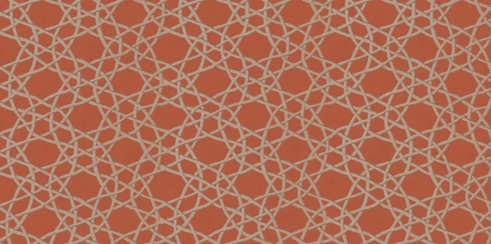 120x60 florim filati Happy Hour Scarletto 1.jpg