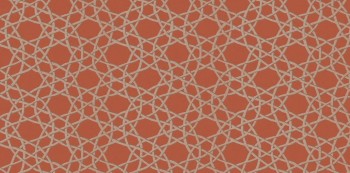 120x60 florim filati Happy Hour Scarletto 2.jpg