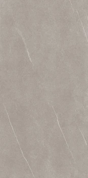 240x120 florim coretech brushed light.jpg
