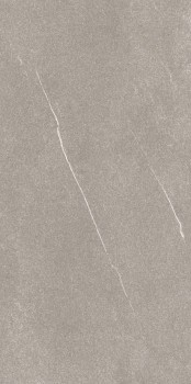 120x60 florim coretech brushed light .jpg