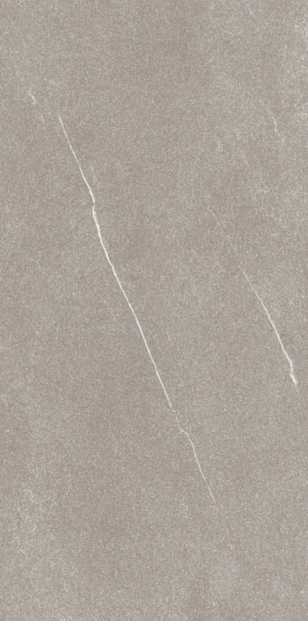 120x60 florim coretech brushed light .jpg
