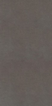240x120 florim earthtech carbon ground.jpg