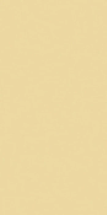 120x60 florim crayons buttercream.jpg