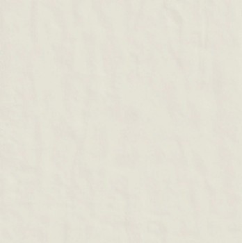 120x120 florim neutra 6.0 01 bianco 2.jpg