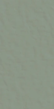 120x60 florim neutra 6.0 oliva 09 1.jpg