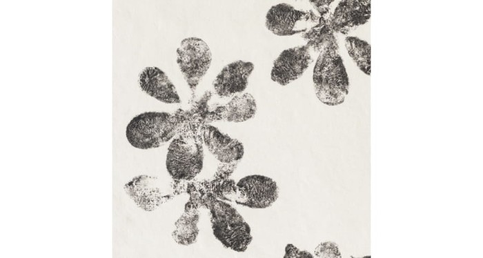 chymia-ophelia-white-30x30.jpg