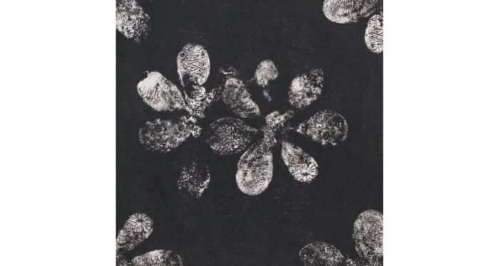 chymia-ophelia-black-30x30.jpg
