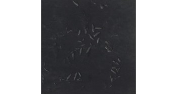 chymia-impronta-black-30x30.jpg