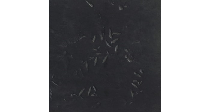 chymia-impronta-black-30x30.jpg