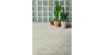mows-fog-11x11 (1).jpg