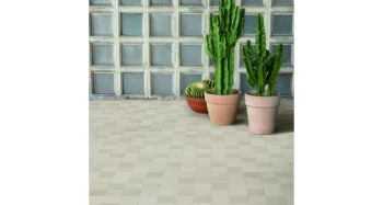 mows-soot-11x11 (1).jpg