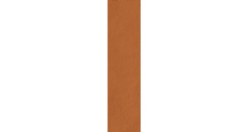 tierras-rust-30x120.jpg