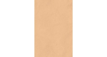 tierras-blush-20x30.jpg