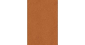 tierras-rust-20x30.jpg