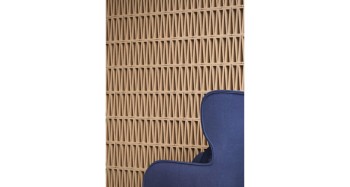 celosia-205x265 (2).jpg