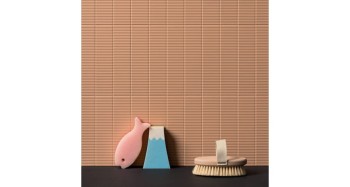 biscuit-strip-terra-5x20 (1).jpg