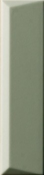 biscuit-peak-salvia-5x20.jpg