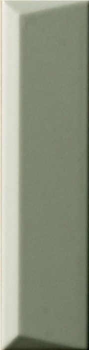 biscuit-peak-salvia-5x20.jpg