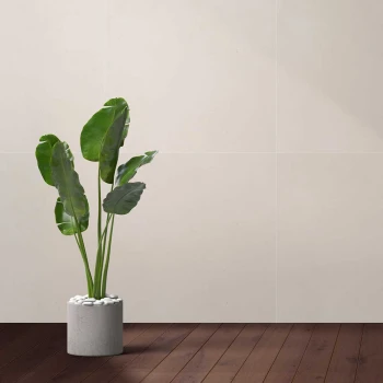 mate-terra-avorio-60x60 (1).jpg